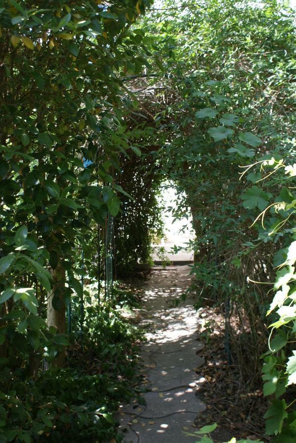 Chambre D'Hotes Du Mas Julianas Saint-Laurent-de-la-Salanque Dış mekan fotoğraf